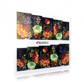 Flower pattern sticker - BLE/M12
